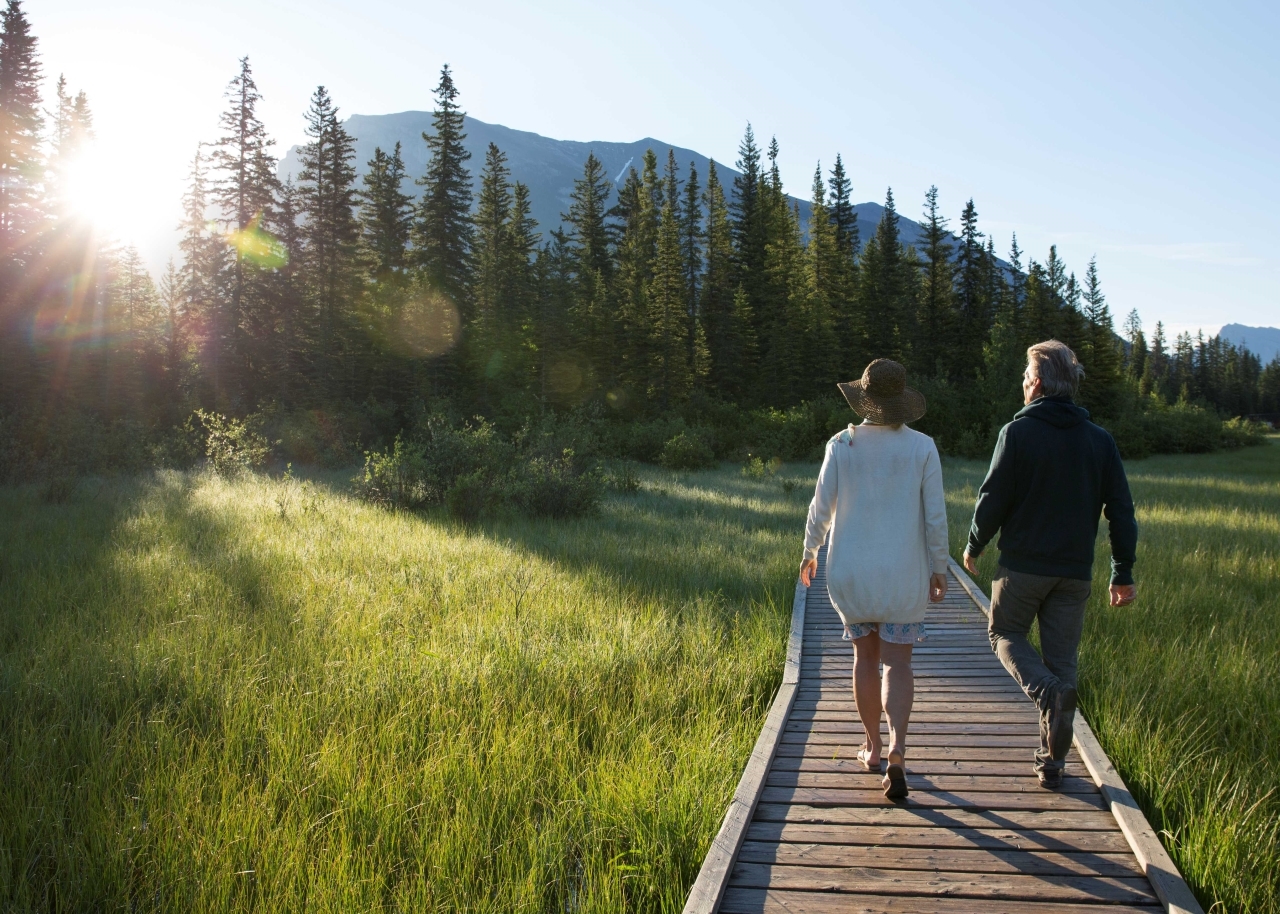 Wealth Management Process Shelby Fields Wealth Management Group Stifel wealth-management-process-shelby-fields-wealth-management-group-stifel